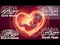 Surah Maryam سورة مريم Full Tilawat Heart Touching Quran Recitation For Peace Listen Now 2026 HD 