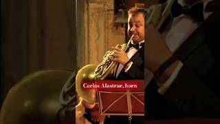 Puccini Nessun Dorma: Carlos Alastrue, french horn #horstsohm &amp; #orchestra #shorts #music