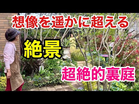 【驚愕の連続】バックヤードがとんでもなく素敵な個人庭　　【カーメン君】【園芸】【ガーデニング】【初心者】