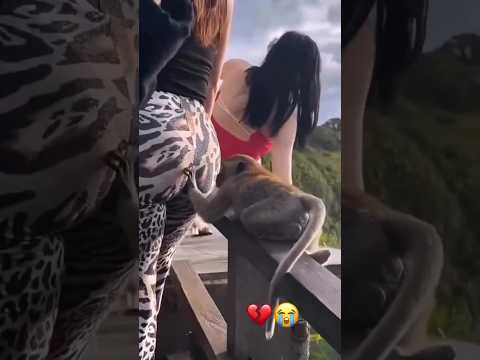 This is bad 🤮 #shorts #birdtrend