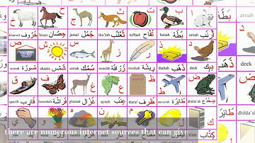 Arabic flash cards
