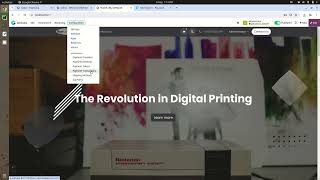 Odoo Paystack Provider