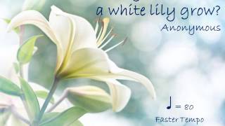 Faster Have you seen but a white lily grow? Note-Learning Guide