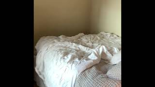 109 Bartlett St #1 Charlestown