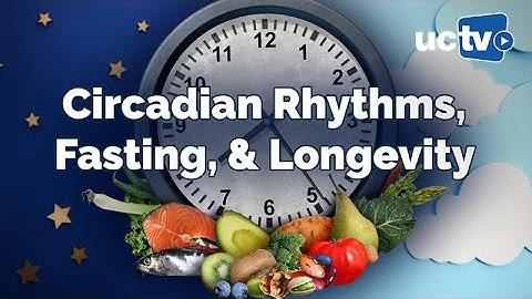 Circadian Rhythm and Intermittent Fasting for Healthy Lifespan