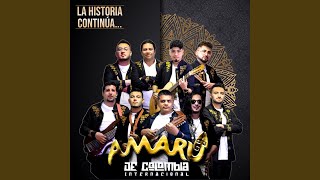 Video thumbnail of "Amaru de Colombia Internacional - Muqs'a Panqara"