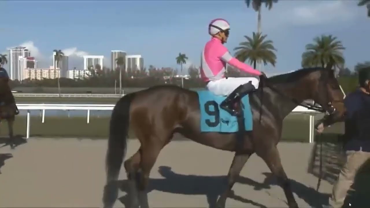 R9 Gulfstream 01 Mar 2026