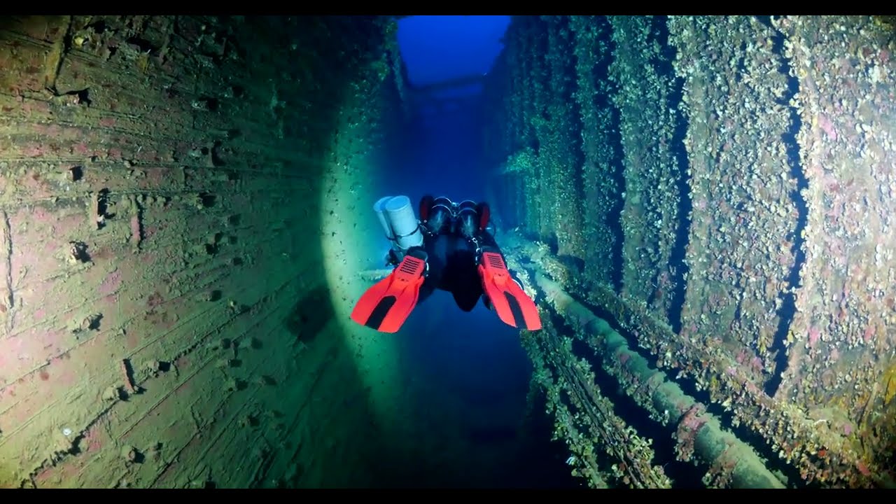 Britannic Promenade Deck Short - Paragon Dive Group 2023 Expedition