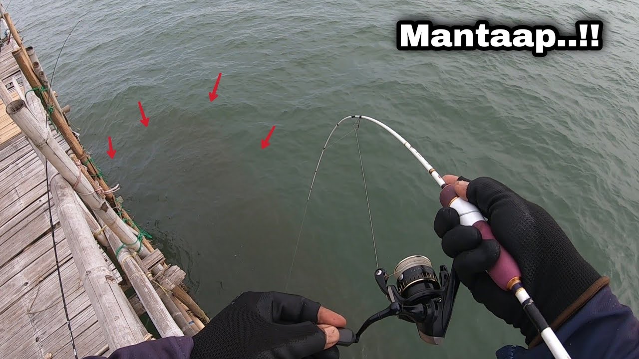 Lempar langsung nyuuut ..!! berasa mancing ditengah || bagan nyelap pulau cangkir