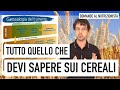 Tutto quello che devi sapere sui cereali