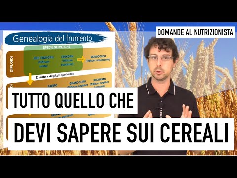 Video: Perché Il Primo Cereale è Utile?