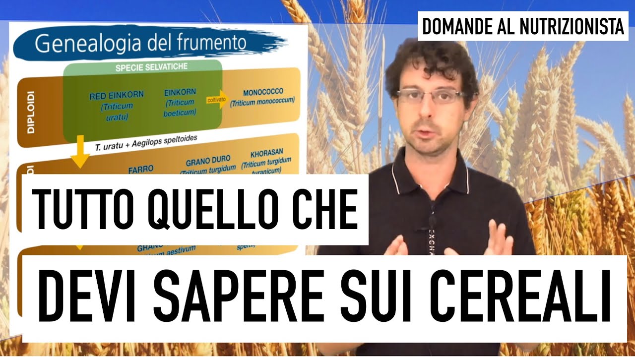 Tutto quello che devi sapere sui cereali