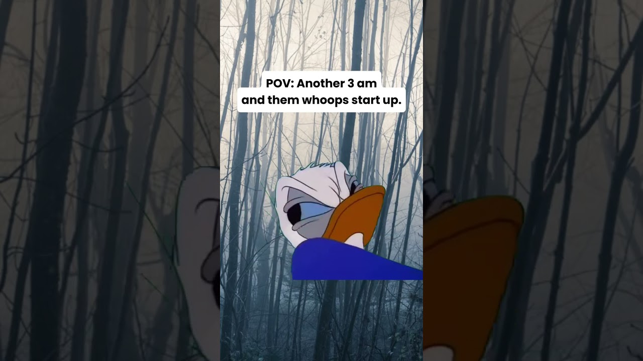 Bigfoot, fresh batteries in the sound recorder? 🪫 #publishtoall