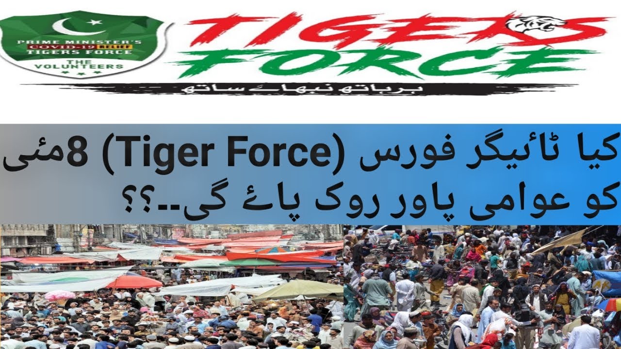 Tiger Force | Incharge | Interview | Muhammad Imran | Sama Satta | Report | D4 Data Studio
