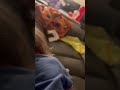 Like father, like son.