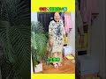 中国の超面白い服