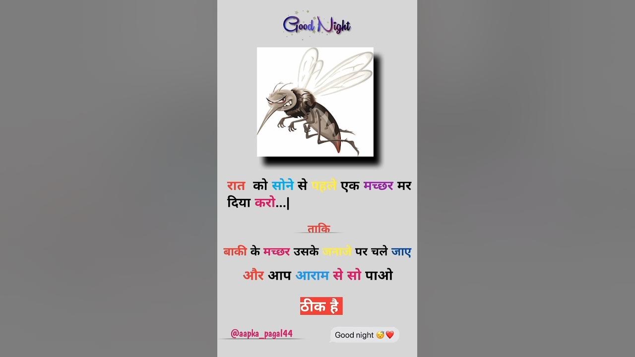 good night machar machine price