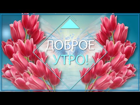 ✅Доброе утро✅Счастья и добра!
