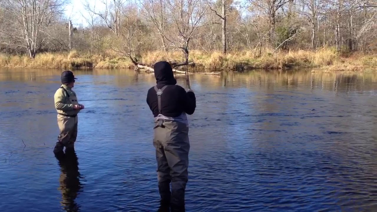 Fall Salmon Fishing Nova Scotia YouTube