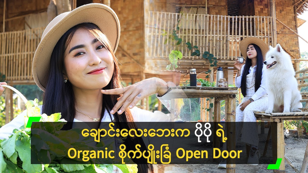 ချောင်းလေးဘေးက ပိုပို ရဲ့ Organic စိုက်ပျိုးခြံ Open Door