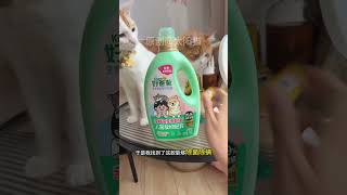 Pet Sterilization Made Easy: Human & Pet Laundry Detergent