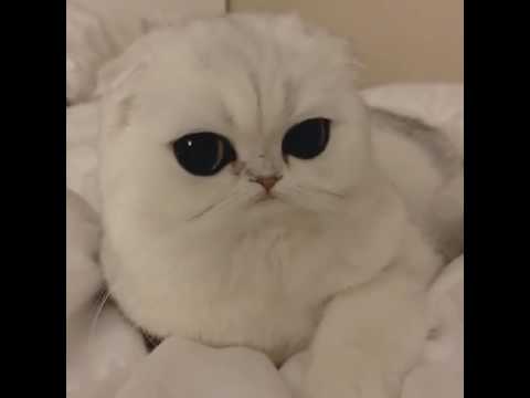 اجمل مخلوق