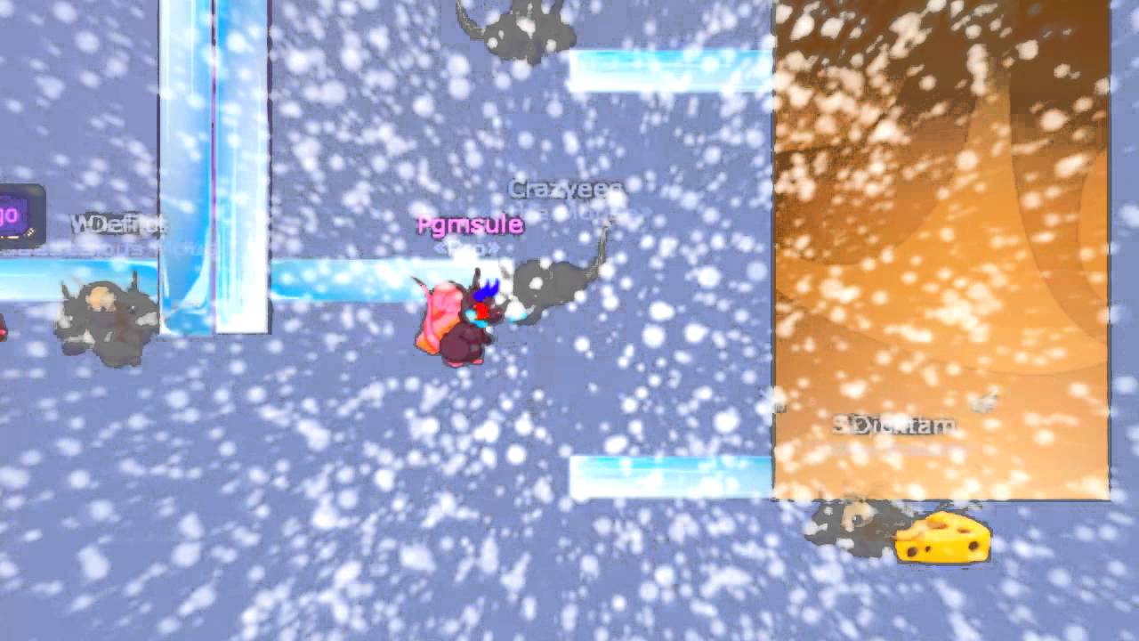 Transformice - Pgmsule