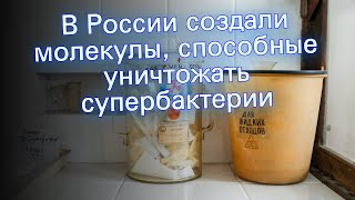 В России создали молекулы, способные уничтожать супербактерии