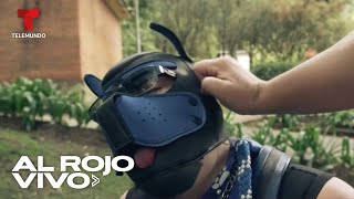Hombres sueñan con ser mascotas y simulan ser perros en Colombia | Al Rojo Vivo | Telemundo
