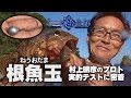 村上晴彦が根魚玉-ねうおだま-海太郎-アコウやガシラほかライトロック用ジグヘッドを実釣解説