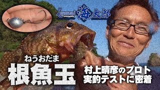 村上晴彦が根魚玉-ねうおだま-海太郎-アコウやガシラほかライトロック用ジグヘッドを実釣解説