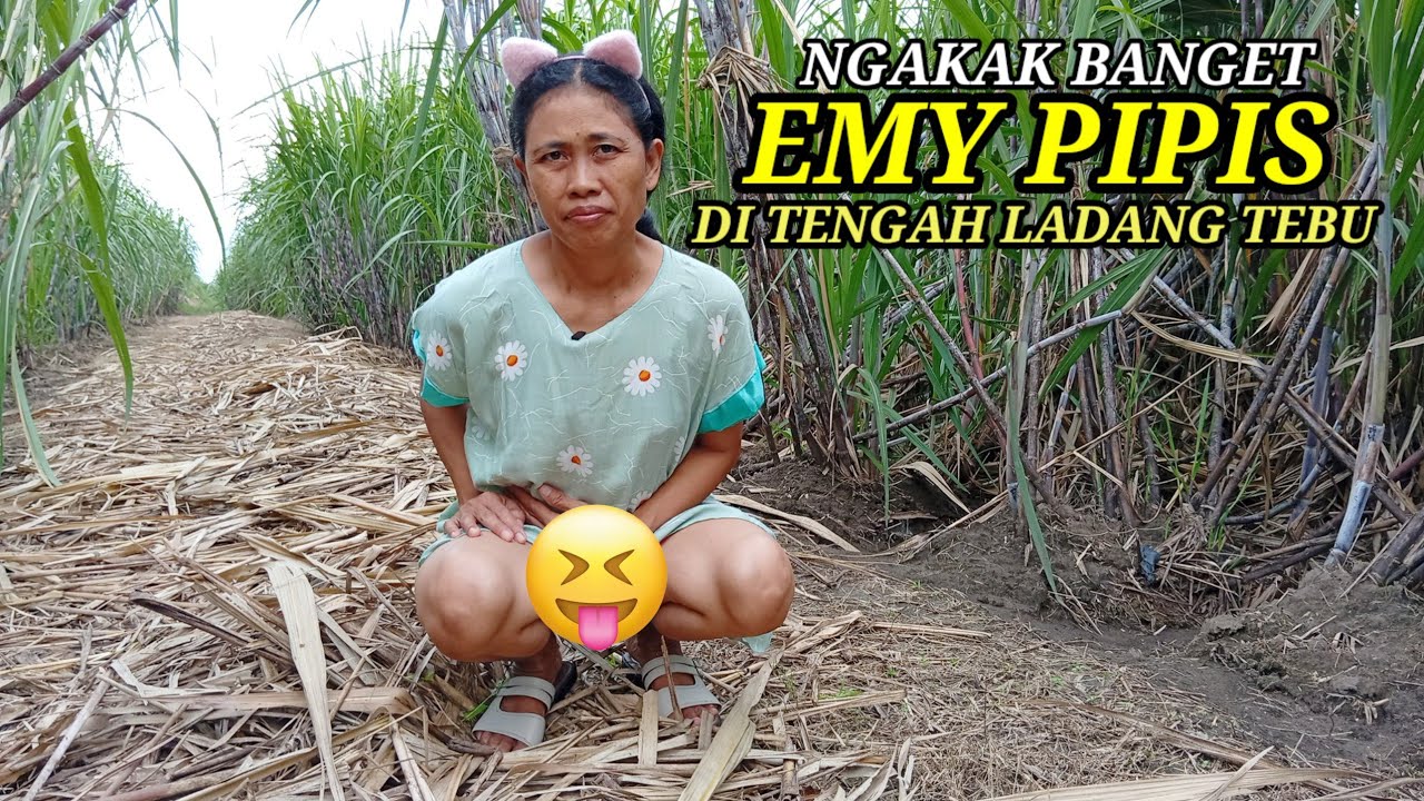 Pas.. ⁉️lagi ke sawah sambang tebu.. Lucu sekali 
