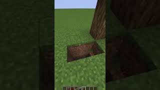 Secret Tree Entrance! (Minecraft) #shorts