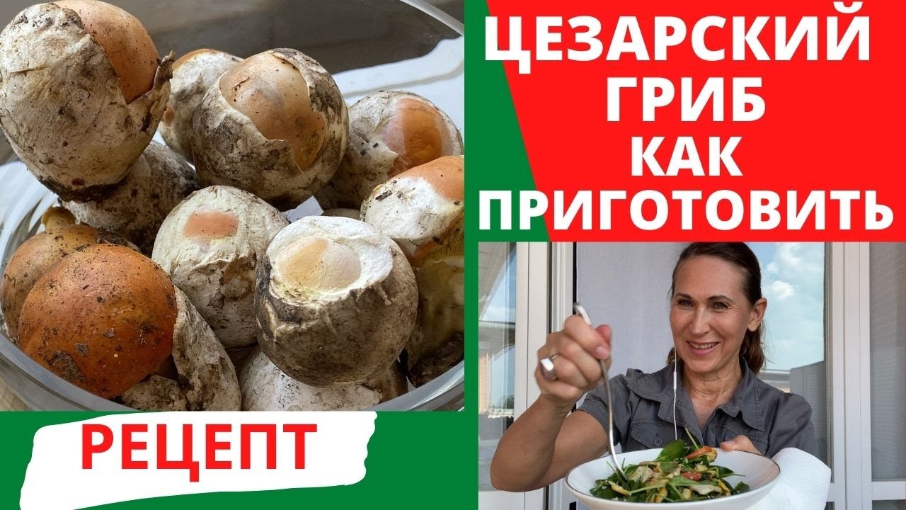 Как быстро приготовить салат Цезарский гриб | Царский гриб | Готовим салат из гриба оволо.