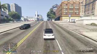 GTA5 散歩