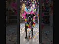 mí bailarín preferido !!!