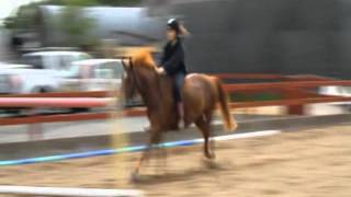 jumping 1m20 bareback *Re-uploaded*