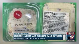 Salmonella on the rise amid cyclosporiasis outbreak