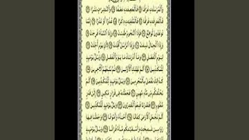 أنس الميمان سورة المرسلات