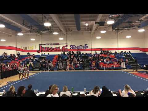 Acrobatic Gymnastics (Trio Tempo) - Region 1 Acro States Championship 4/29/18