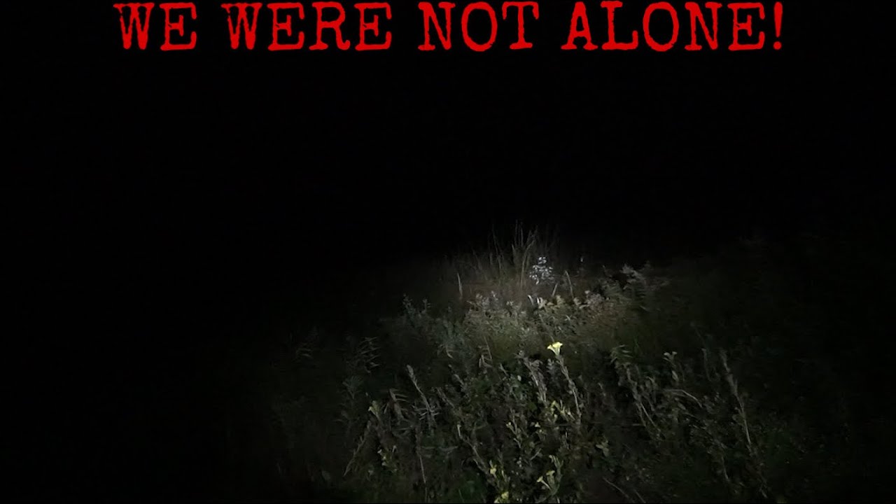 WE RETURNED TO MICHIGAN TO GO CAMPING...