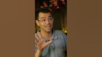 Como Lidar com Críticas e Elogios no YouTube?