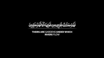 قال الله هذا يوم ينفع الصادقين صدقهم | القارئ محمد أيوب كرومات قرآن شاشة سوداء #قران_شاشة_سوداء