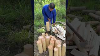 Mastering Wood Splitting: Efficient Techniques with a Log Splitter #shorts