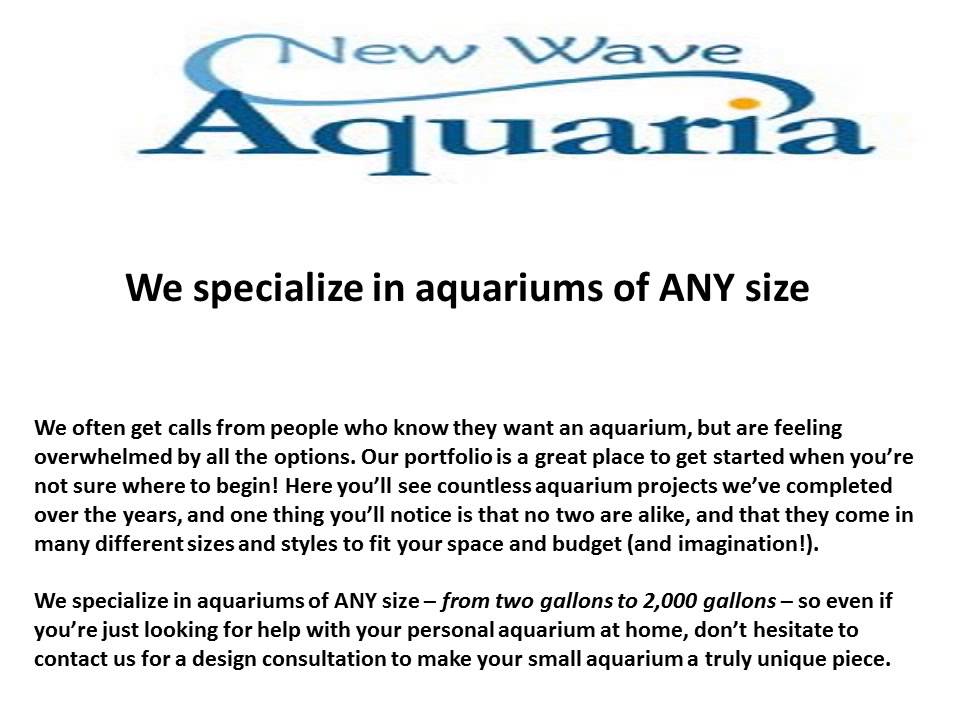 New Wave Aquaria Custom Glass Aquarium Minneapolis