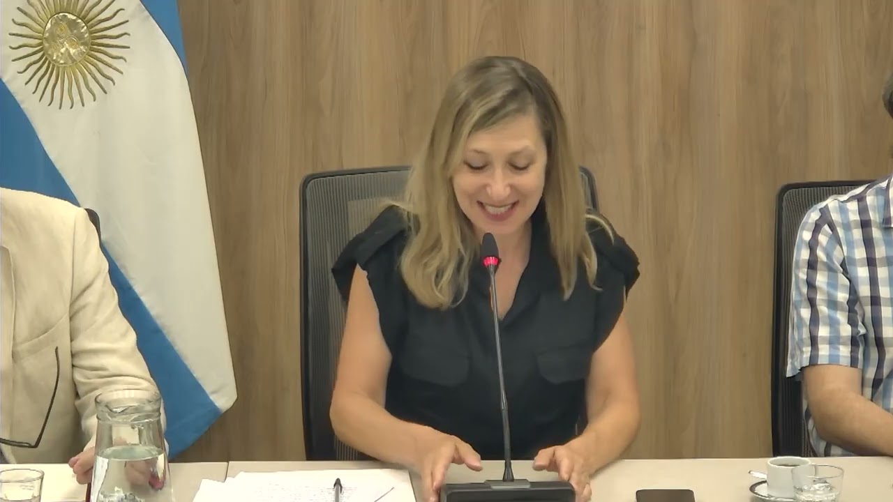 Audiencia pública internacionalista sobre la reforma laboral en Argentina