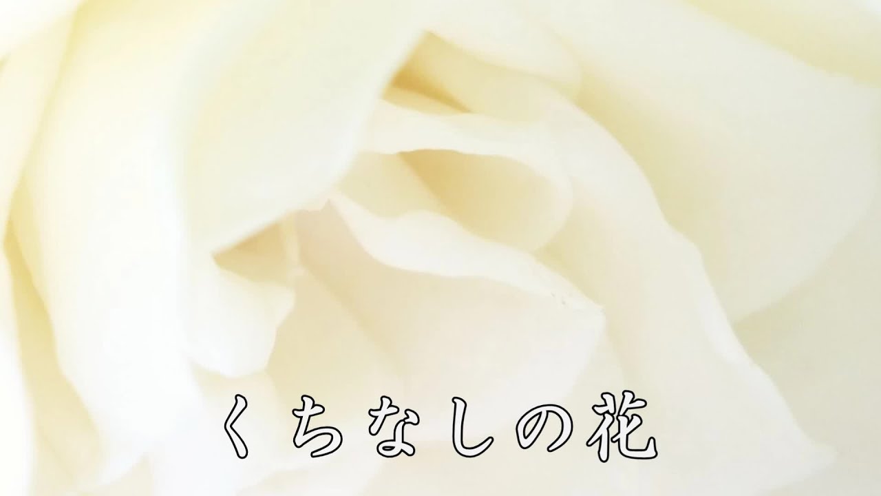くちなしの花です❤︎ くちなしの花 渡哲也 昭和48(1973)年 - YouTube