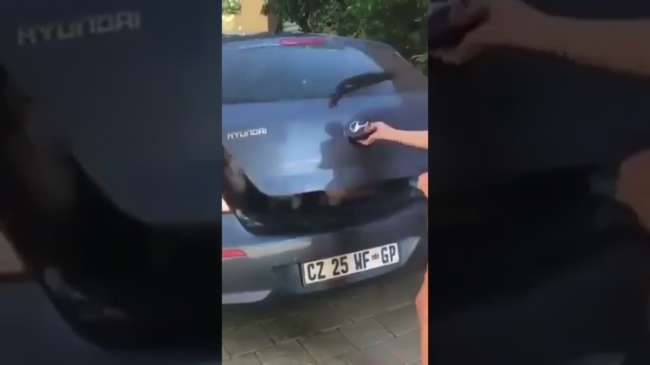 The dog rebellion🙀