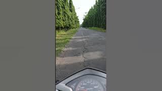 STORY WA Jalan Thamrin
