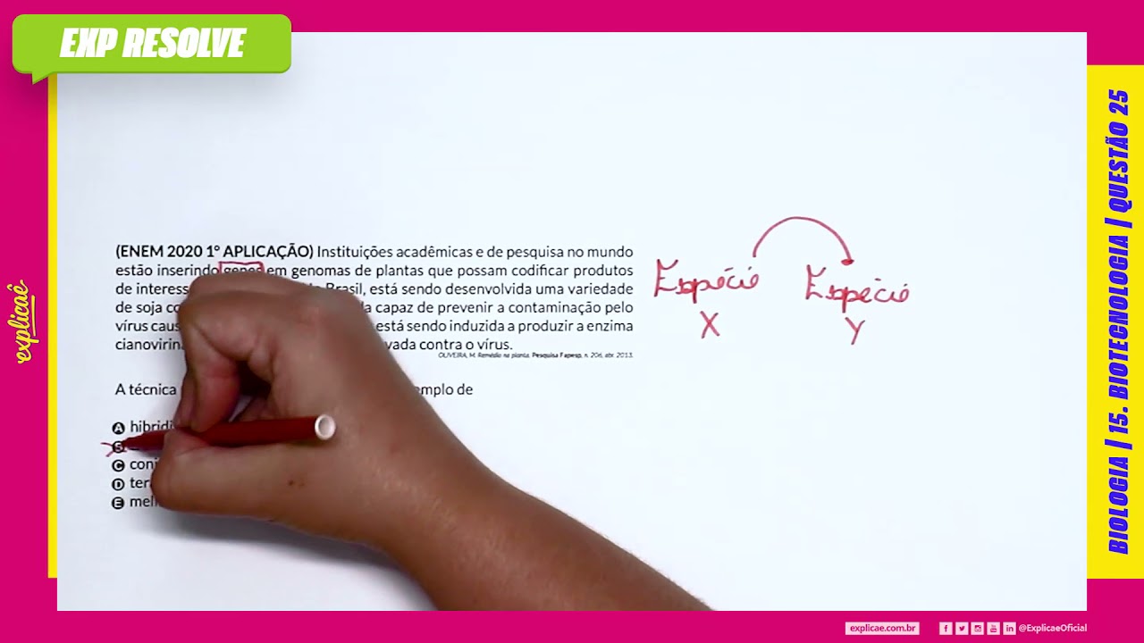 INSTITUIÇÕES ACADÊMICAS E DE PESQUISA NO MUNDO ESTÃO INSERINDO GENES EM (...) | BIOTECNOLOGIA